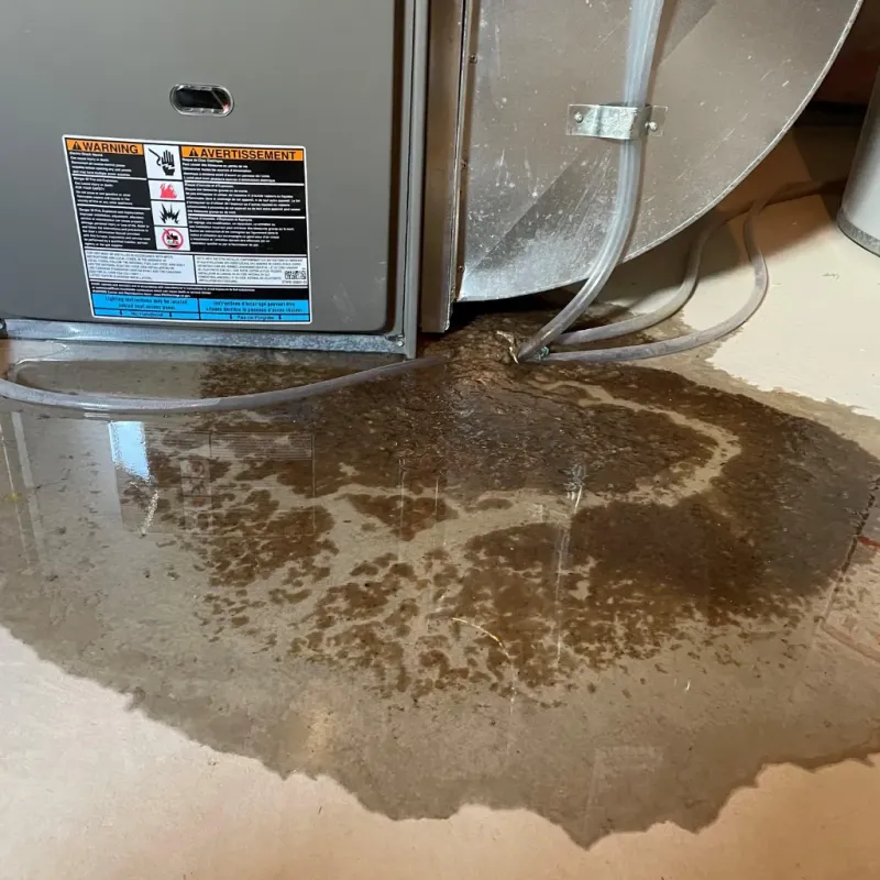 Appliance Leak Cleanup in Laguna Beach, FL
