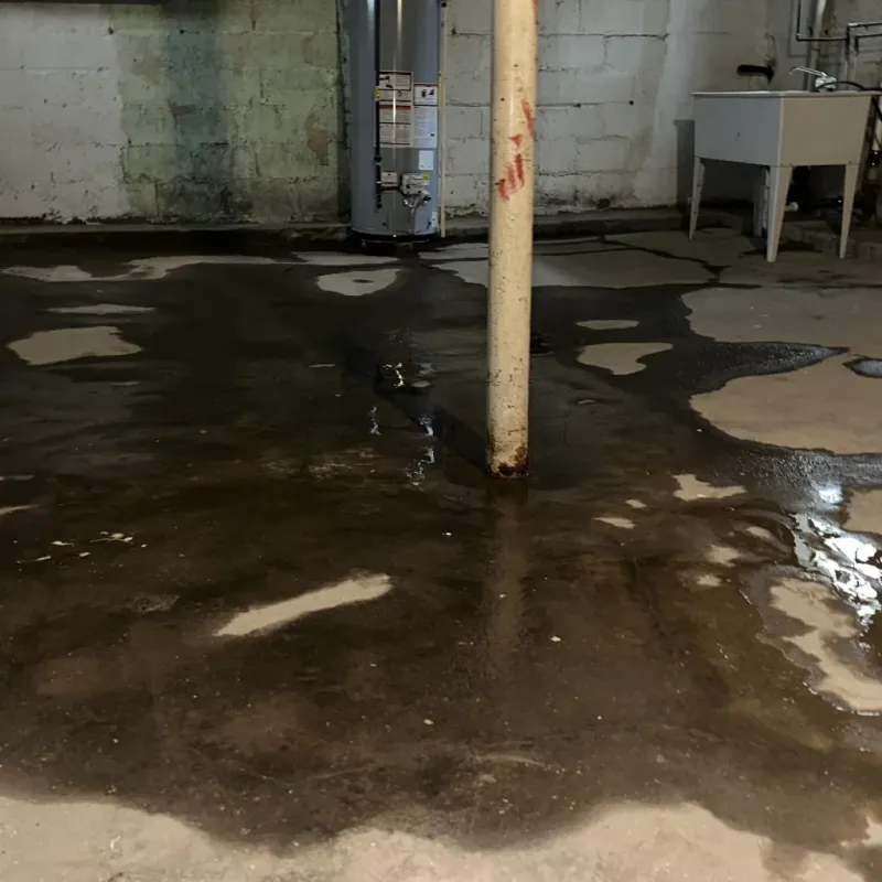 Emergency Water Extraction And Removal in Laguna Beach, FL